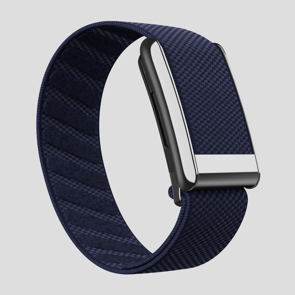 Midnight Navy