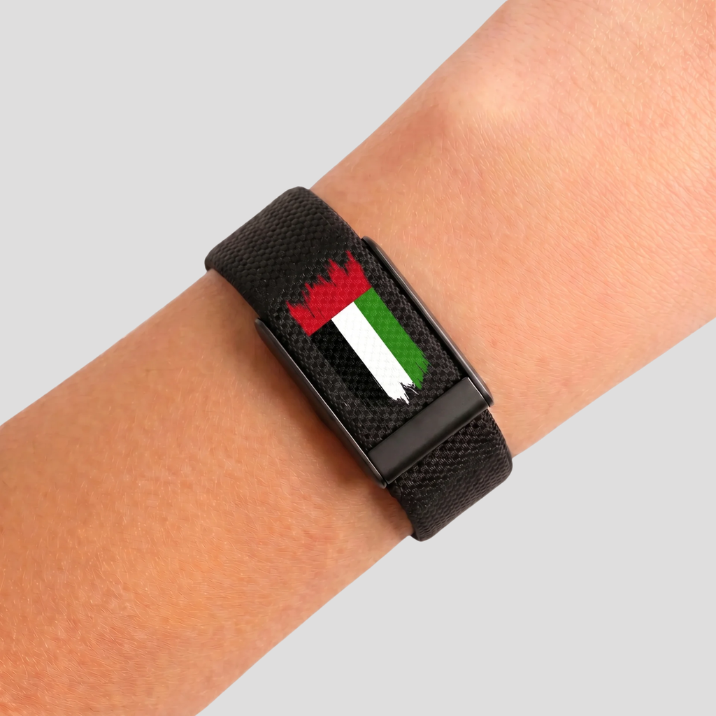 UAE flag black