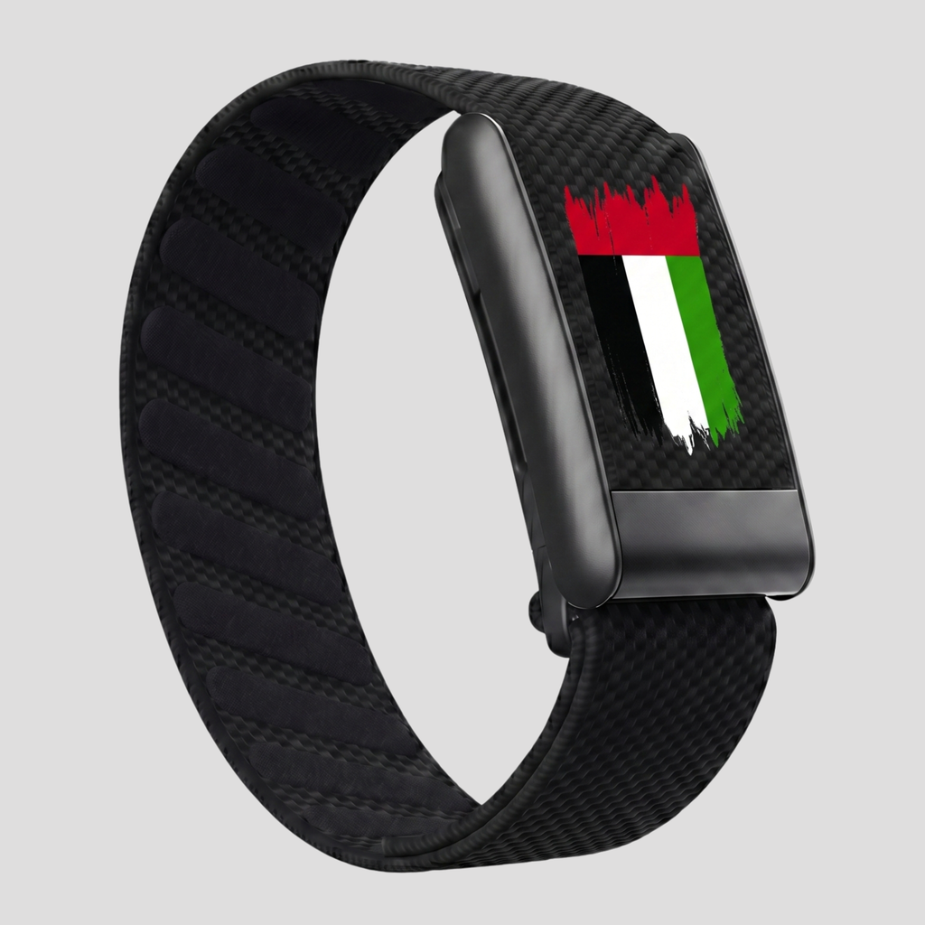 UAE flag black